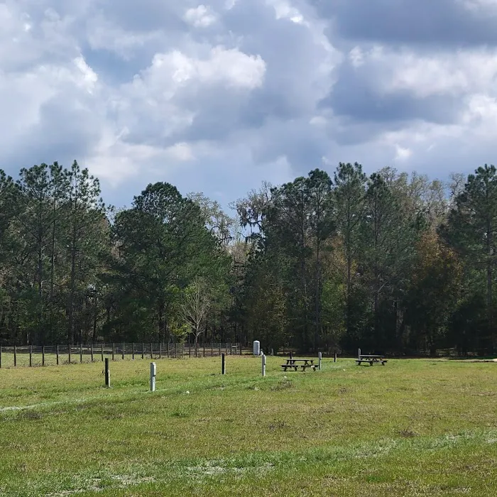 Red Rooster RV Park Picture 6