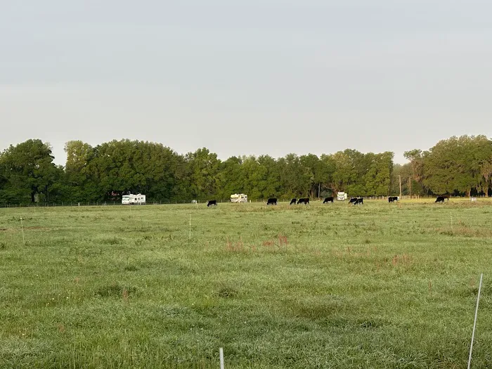 Red Rooster RV Park Picture 9