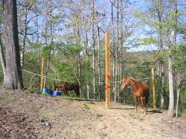 Campground at Grove River Ranch Picture 3