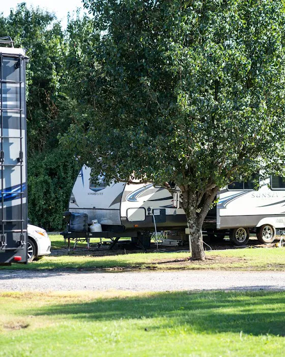 Memphis South RV Park & Campground Picture 9