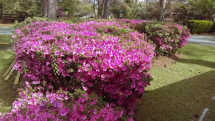 Tallahassee RV Park Picture 9