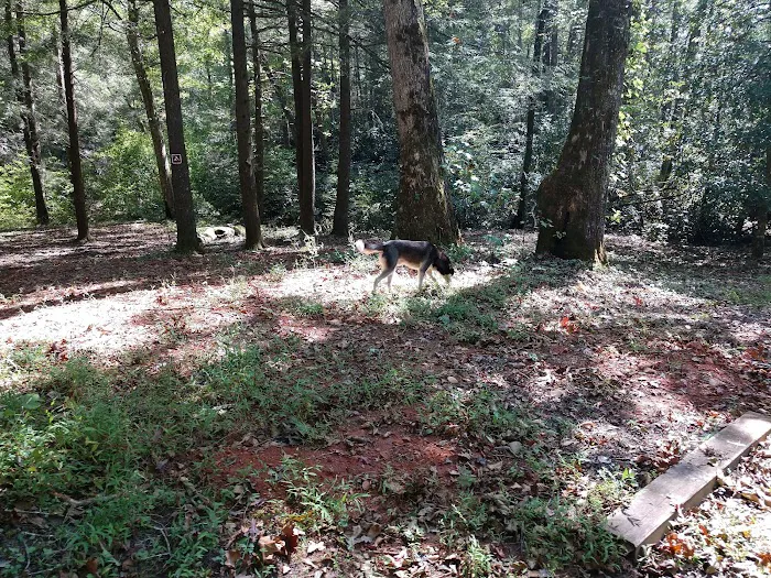 Upper Chattahoochee River Campground Picture 4