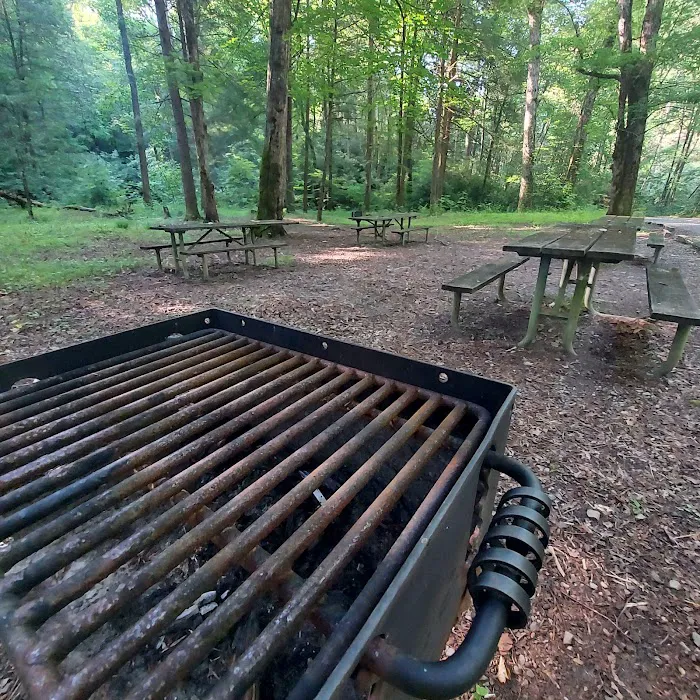 Upper Chattahoochee River Campground Picture 5