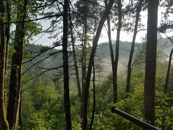 Upper Chattahoochee River Campground Picture 10