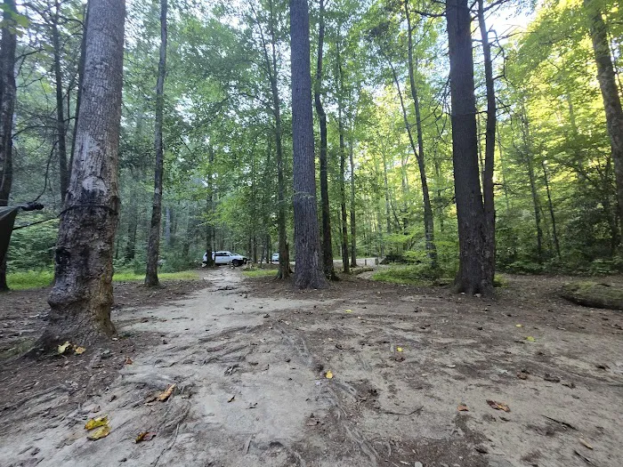 Jasus Creek Campground Picture 4