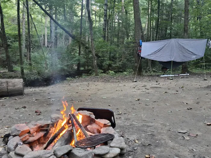 Jasus Creek Campground Picture 7