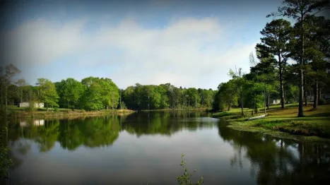 Cool Springs Park - Mobile Home & RV Community Picture 3
