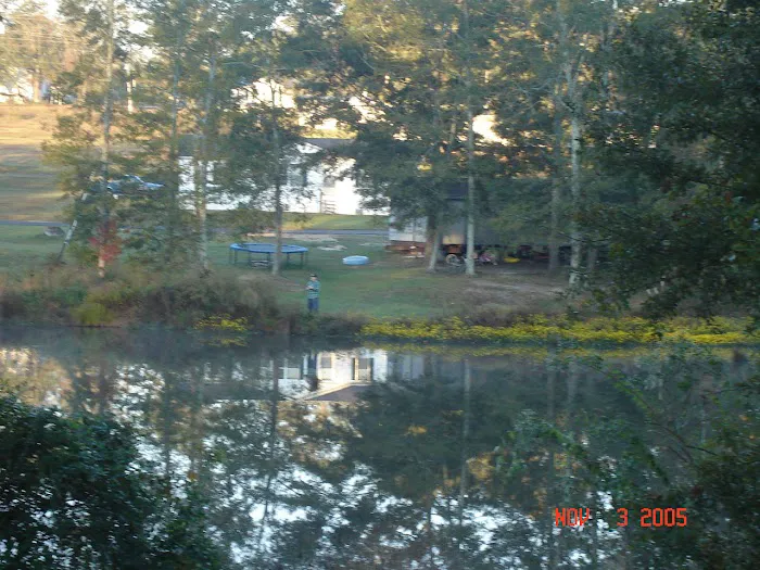 Cool Springs Park - Mobile Home & RV Community Picture 4