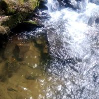 Low Gap Campground ico