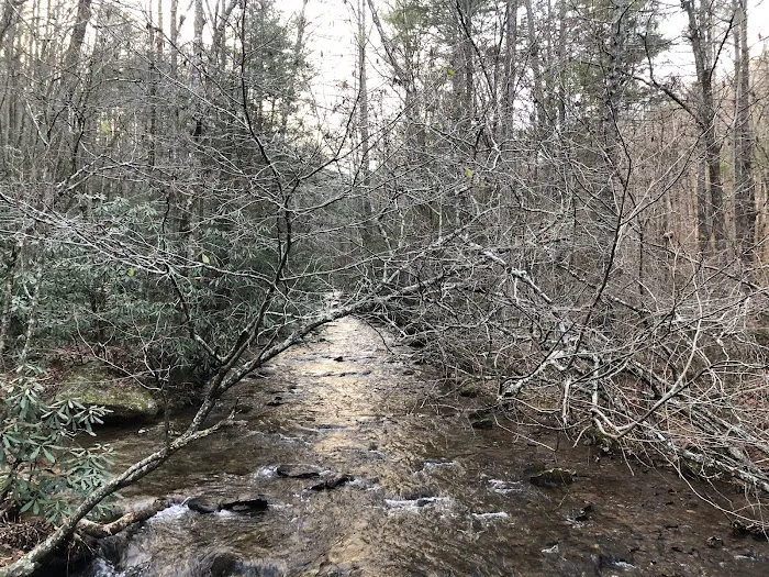 Low Gap Campground Picture 4