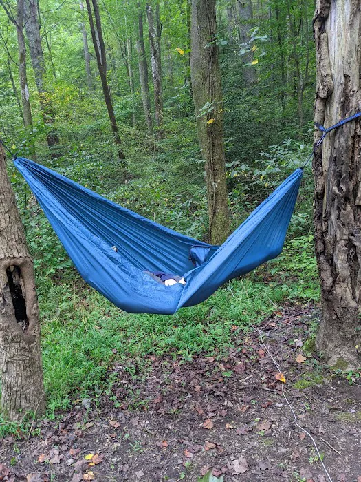Low Gap Campground Picture 10