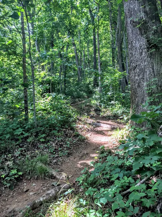 Brown Fork Gap Shelter Picture 7