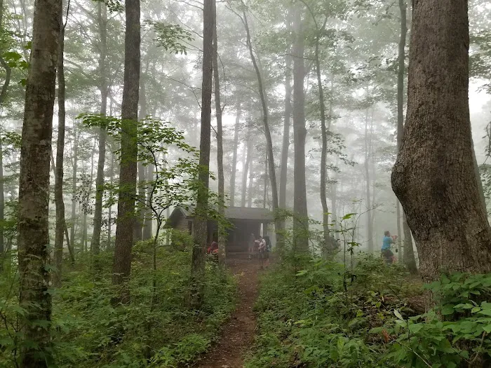 Brown Fork Gap Shelter Picture 6