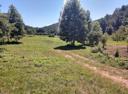 Moonshine Run Campground