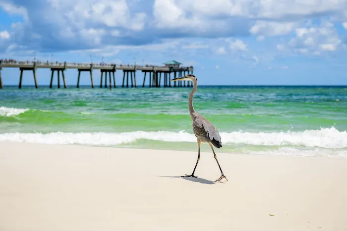 Fort Walton Beach RV Park Picture 1