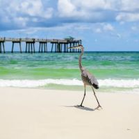 Fort Walton Beach RV Park ico