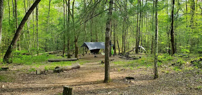 Backcountry Camp 77, Pilkey Creek Picture 4