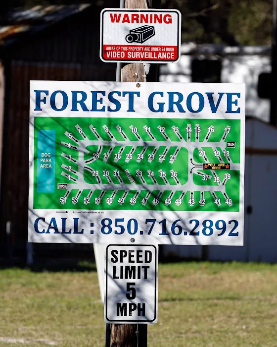 Forest Grove RV Park Picture 2