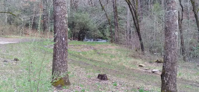 Huskins Branch Campground Picture 5