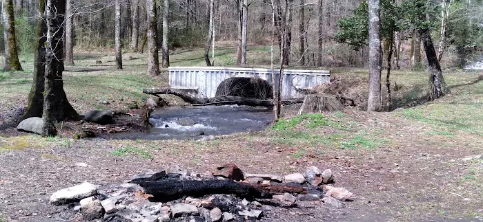 Huskins Branch Campground Picture 3