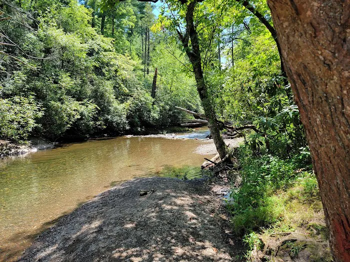 Huskins Branch Campground Picture 10