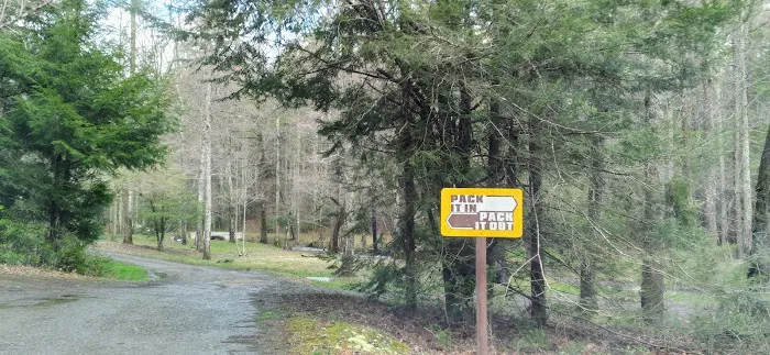 Huskins Branch Campground Picture 7