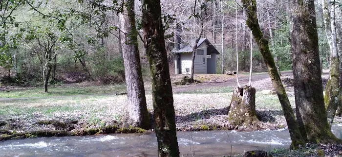 Huskins Branch Campground Picture 1