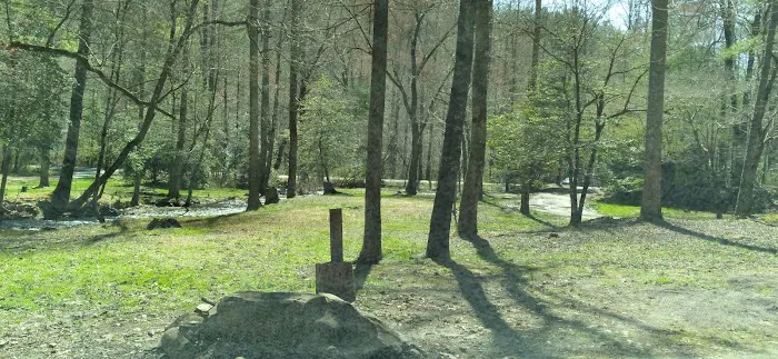 Huskins Branch Campground Picture 6