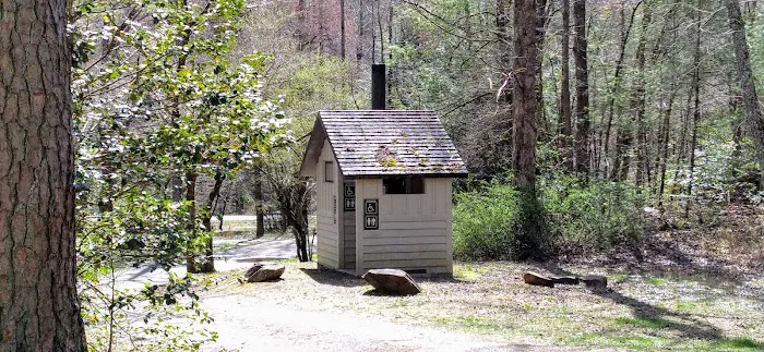 Huskins Branch Campground Picture 2