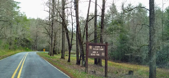 Huskins Branch Campground Picture 4