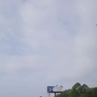 Azalea Park ico
