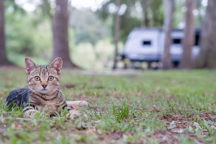 Suwannee RV Campground Retreat Picture 1
