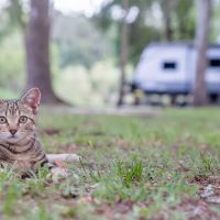 Suwannee RV Campground Retreat ico