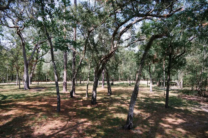 Suwannee RV Campground Retreat Picture 5