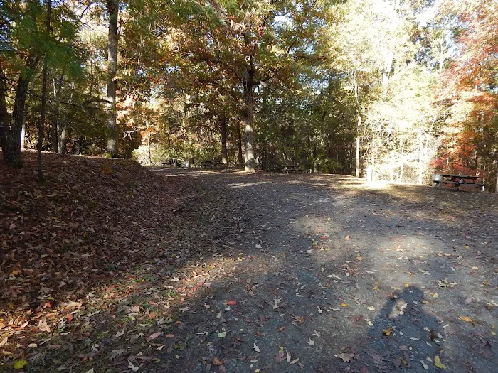 Campground Picture 6