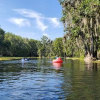 Moonshine Acres RV Park ico