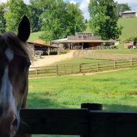 Trackrock Stables ico