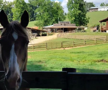 Trackrock Stables