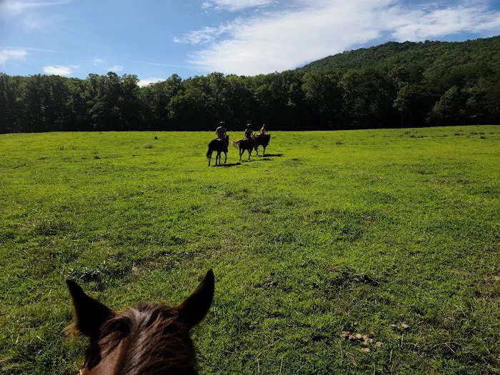 Trackrock Stables Picture 9