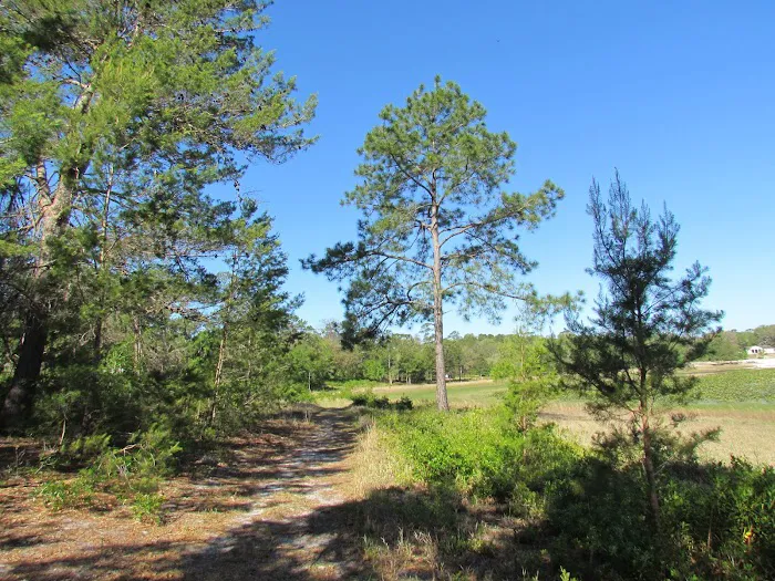 October Bend RV Park Picture 3