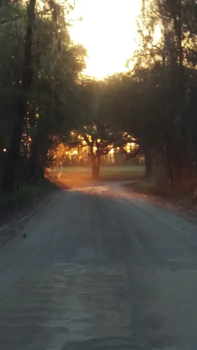 October Bend RV Park Picture 9