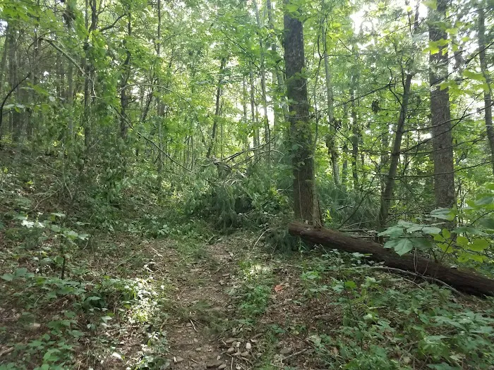 Low Gap Shelter Picture 8