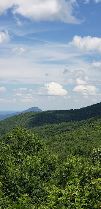 Whitley Gap Shelter Picture 7
