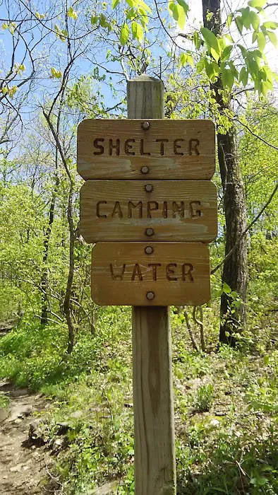 Whitley Gap Shelter Picture 10
