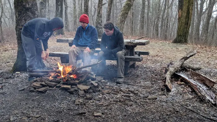 Whitley Gap Shelter Picture 5