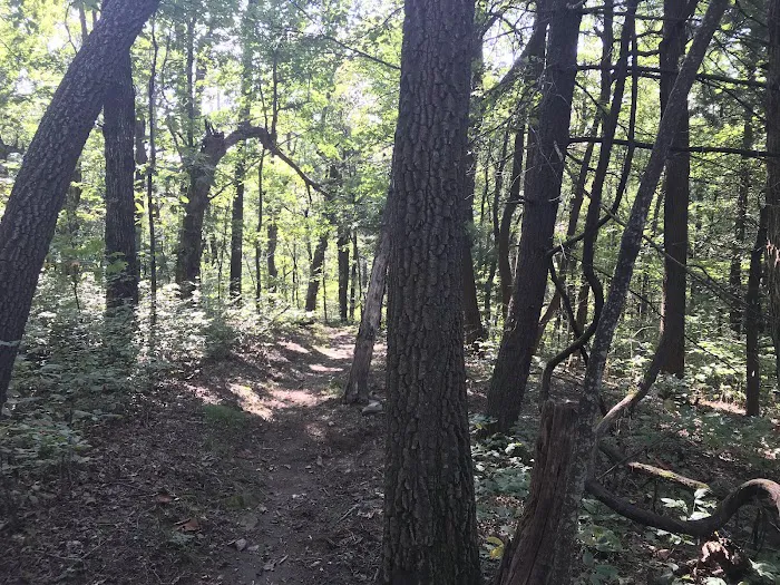 Whitley Gap Shelter Picture 8