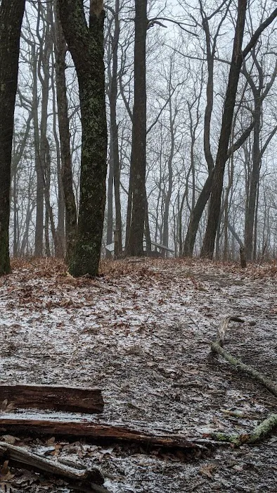Whitley Gap Shelter Picture 1