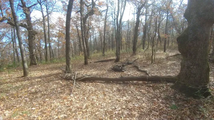 AT Campsite Picture 4