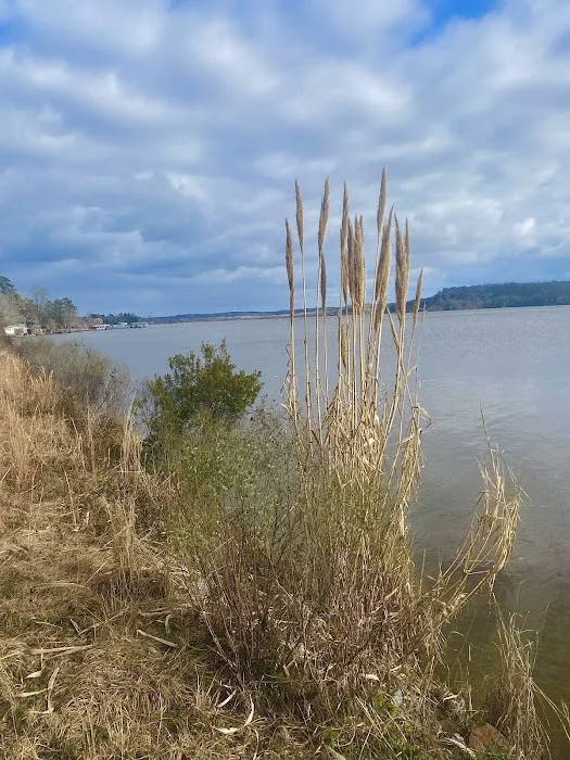 Gantt Lake RV Park and Rentals Picture 1