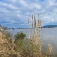 Gantt Lake RV Park and Rentals ico